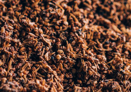 distiller’s-dried-grains-(DDG)